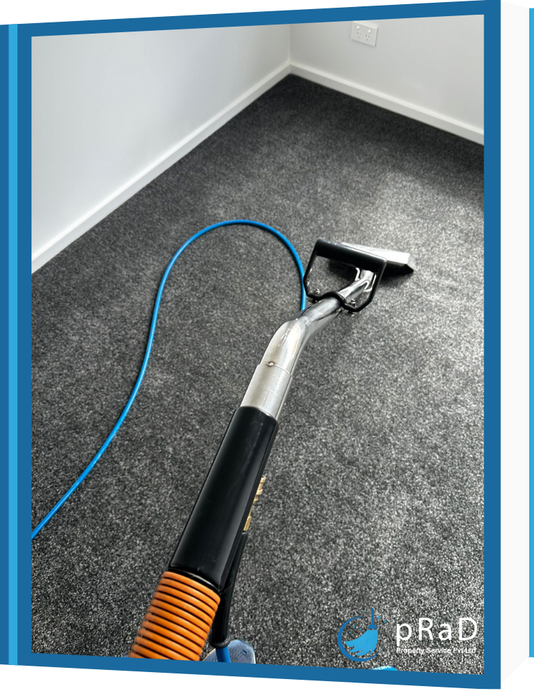carpet steam cleaning warrnambool