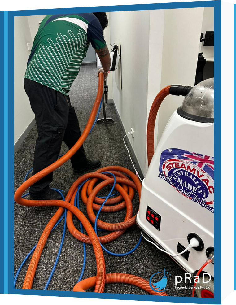 carpet steam cleaning warrnambool